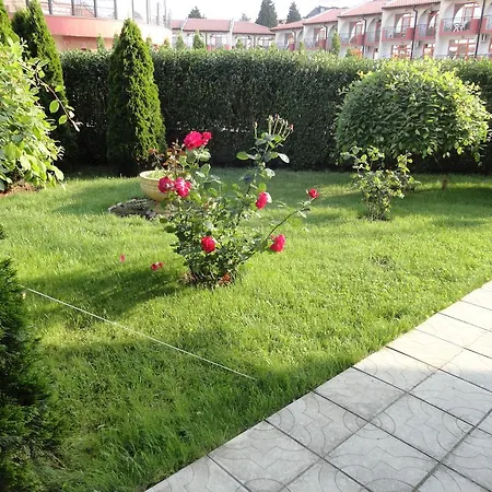 Sunny Flower Family 3* Slantchev Briag