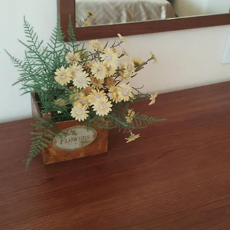 Хотел Sunny Flower Family 3*
